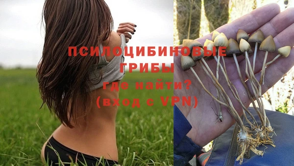 мяу мяу мука Балахна